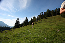 Saloberalm 2012